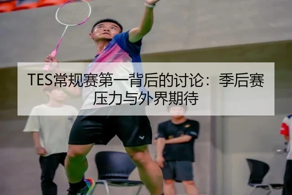 TES常规赛第一背后的讨论：季后赛压力与外界期待 - leyu